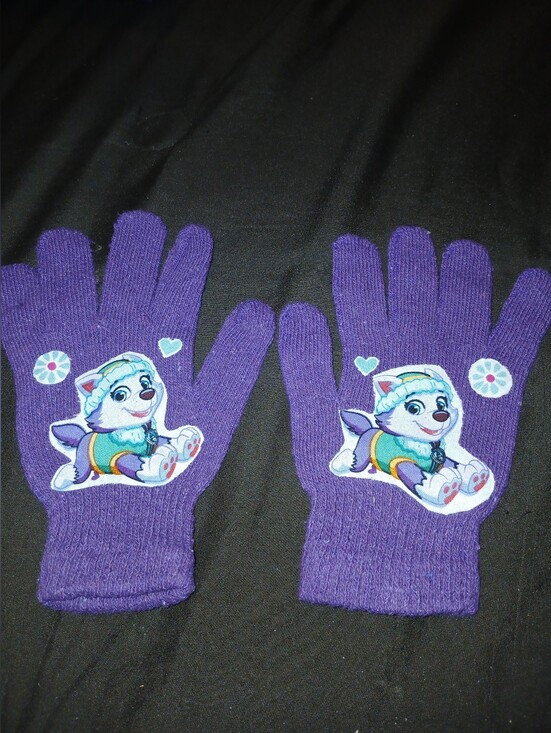 Paw Patrol Other - NWT Kids Purple Paw Patrol Everest Winter Gloves.
